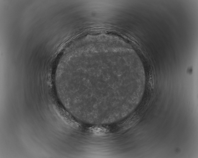 X0000115530512200911271349