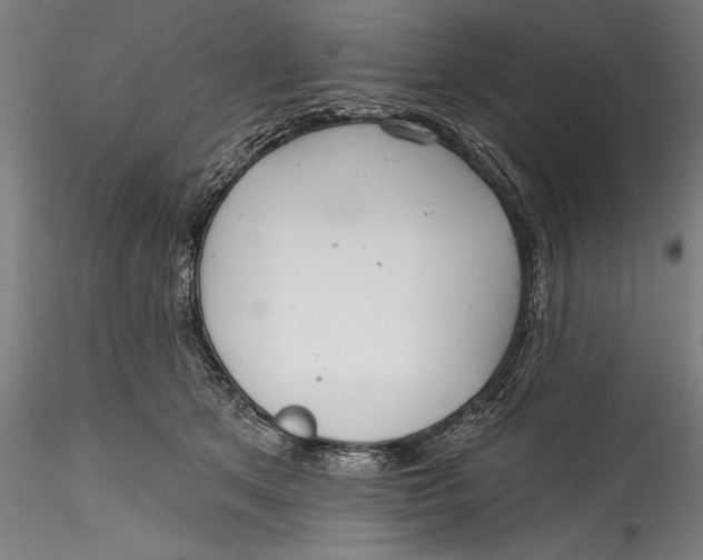 X0000115530513200911271349