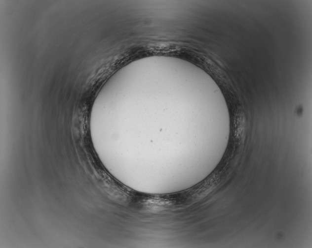 X0000115530515200911271349