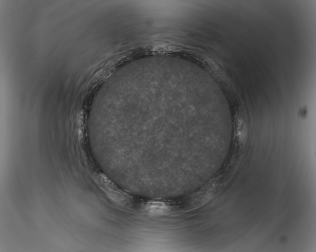 X0000115530519200911271349