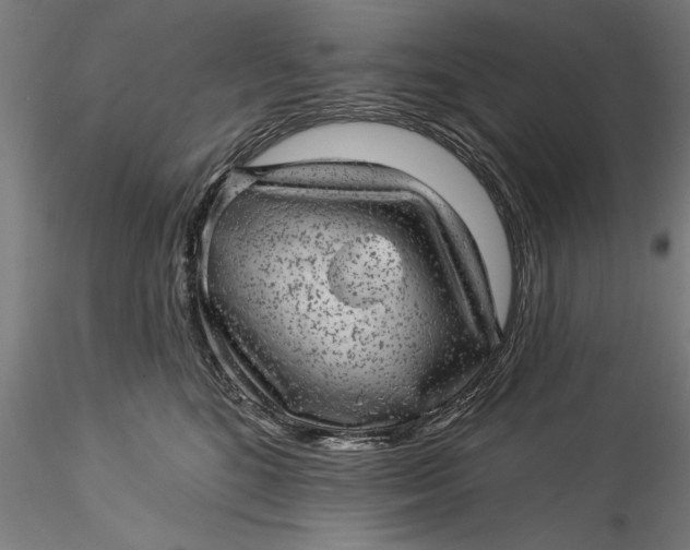 X0000115530520200911271349