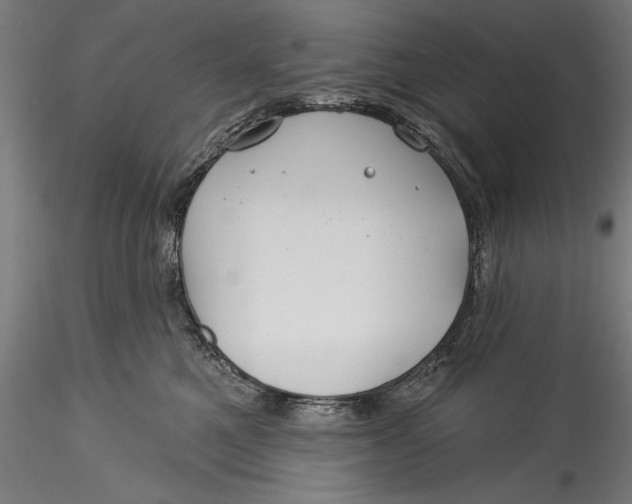 X0000115530521200911271349