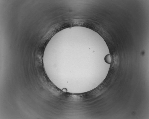 X0000115530522200911271349