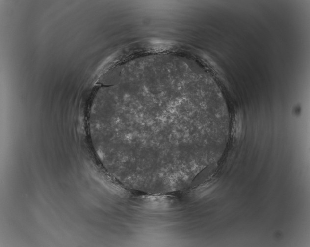 X0000115530524200911271349