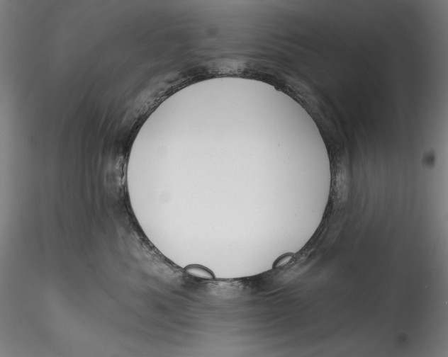 X0000115530525200911271349