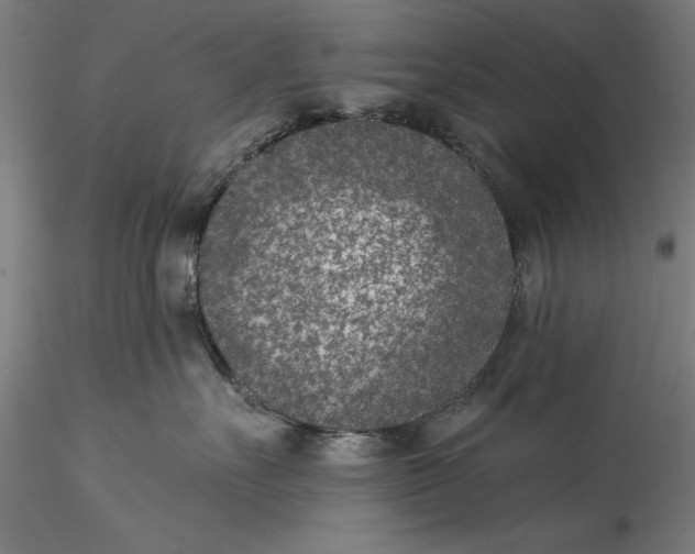 X0000115530527200911271349