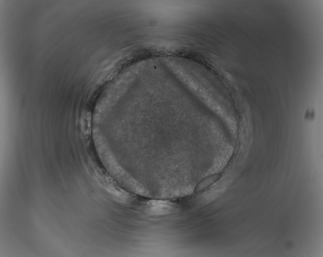 X0000115530528200911271349