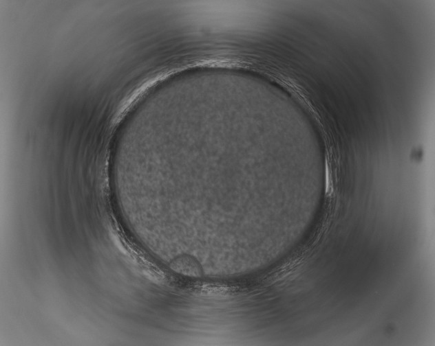 X0000115530531200911271348