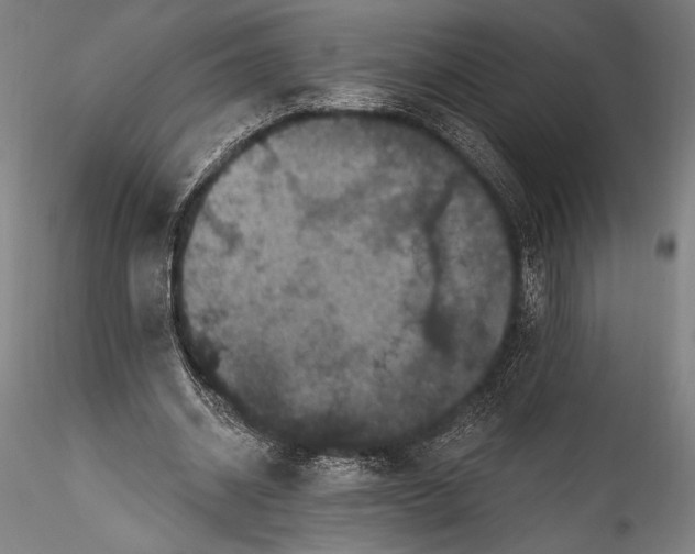 X0000115530534200911271348