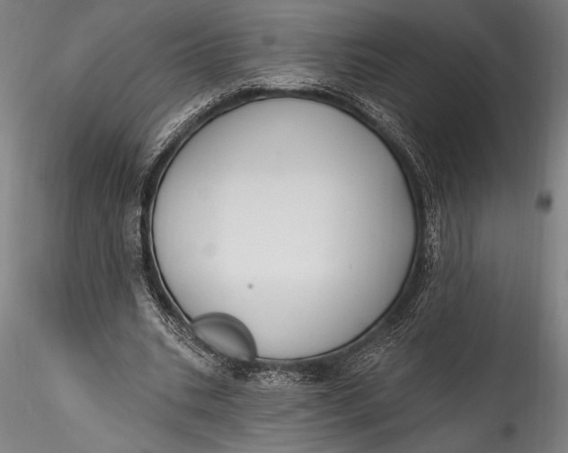 X0000115530535200911271348