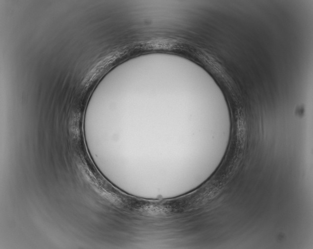 X0000115530537200911271348