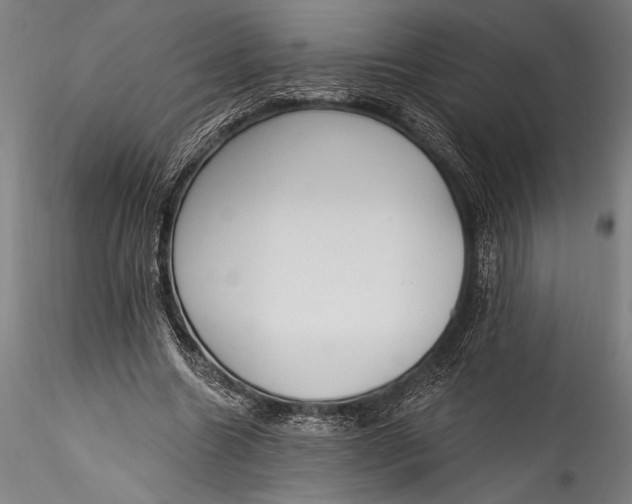 X0000115530538200911271348