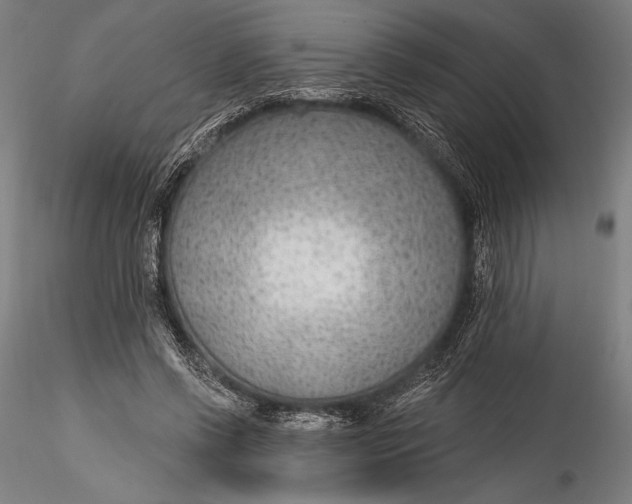 X0000115530542200911271348