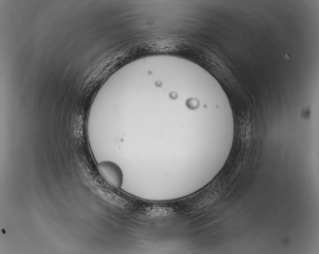 X0000115530549200911271349