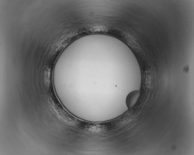 X0000115530550200911271349