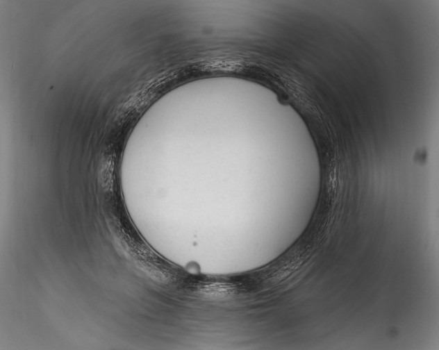 X0000115530551200911271349