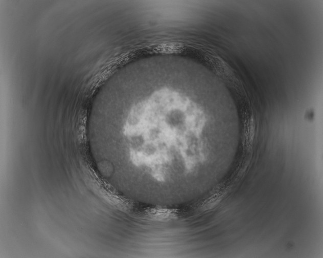 X0000115530553200911271349