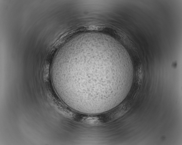 X0000115530554200911271349