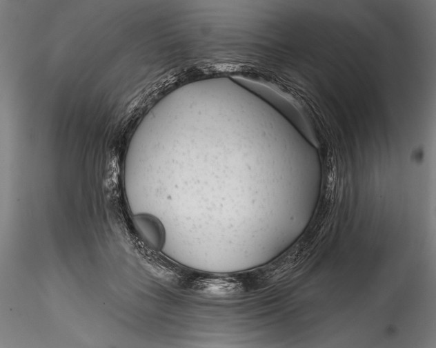 X0000115530555200911271349