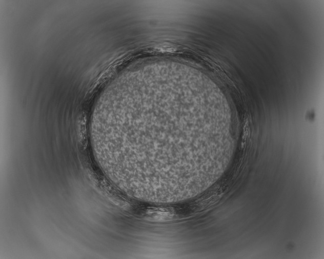 X0000115530559200911271349