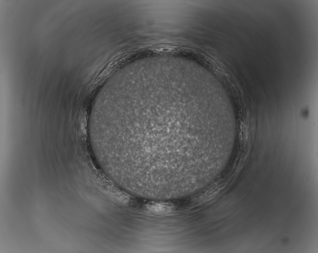 X0000115530561200911271349