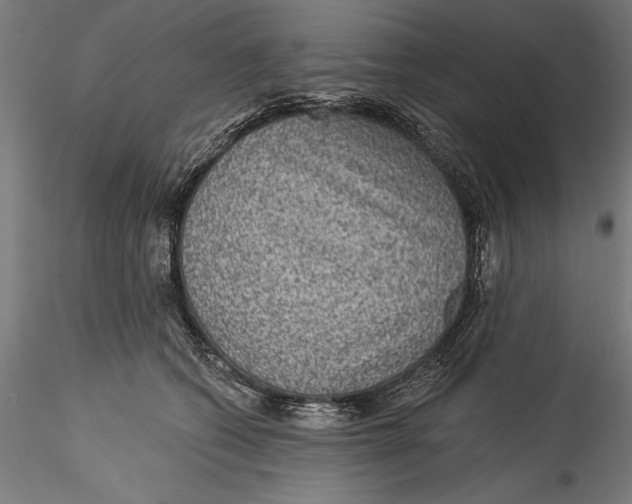 X0000115530562200911271349