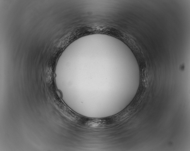 X0000115530563200911271349