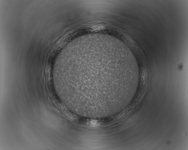 X0000115530565200911271349