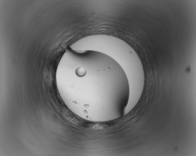 X0000115530566200911271349