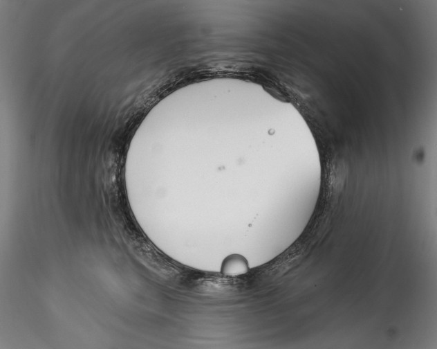 X0000115530567200911271349