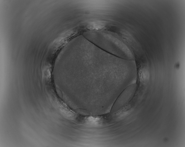 X0000115530570200911271349