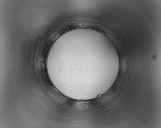 X0000115530571200911271349