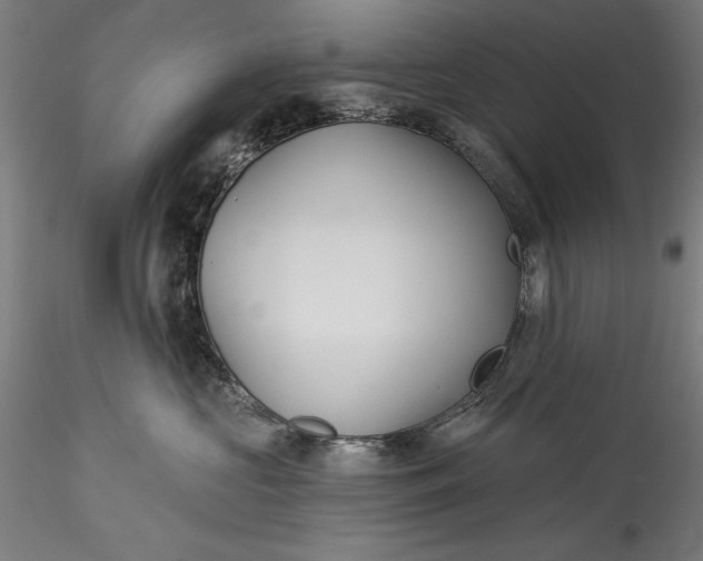 X0000115530573200911271349