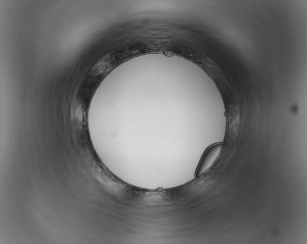 X0000115530574200911271349