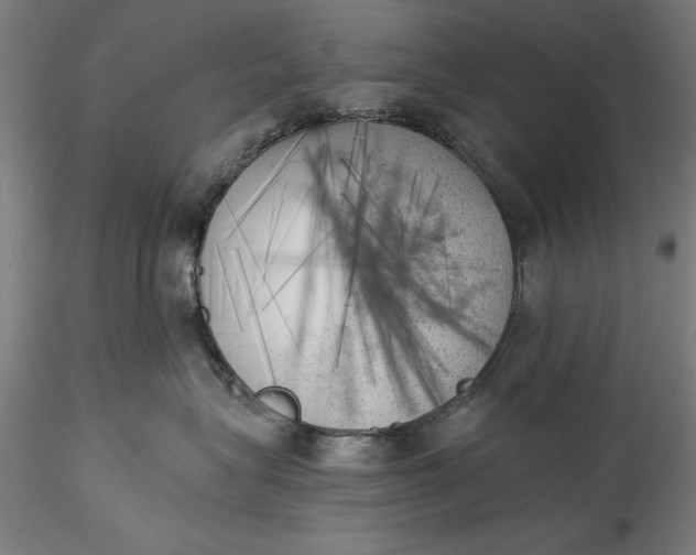 X0000115530575200911271349