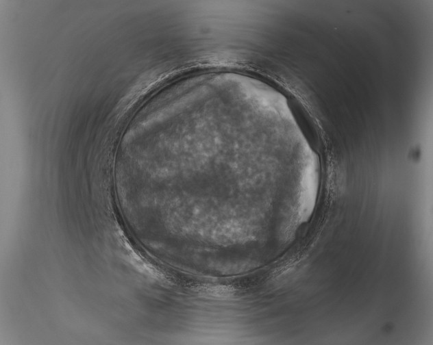 X0000115530577200911271348