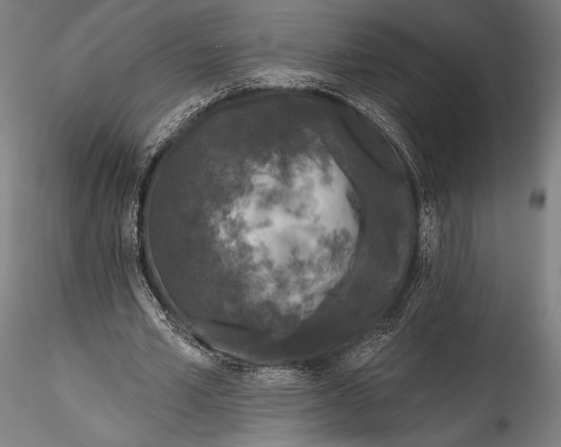 X0000115530581200911271348