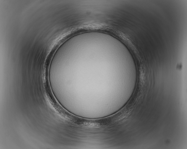 X0000115530582200911271348