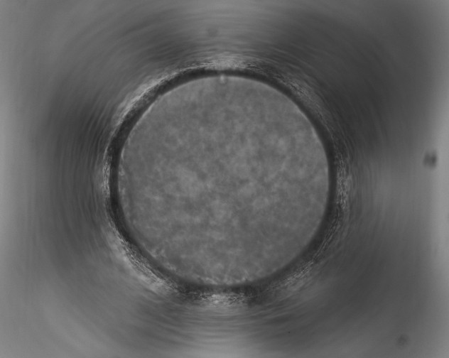 X0000115530584200911271348