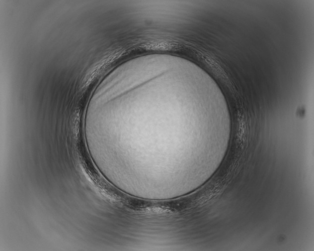 X0000115530586200911271348