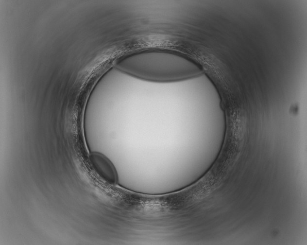 X0000115530587200911271348