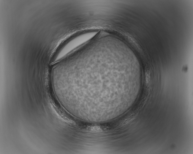 X0000115530588200911271348