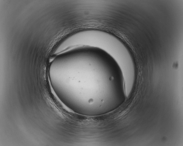 X0000115530589200911271348