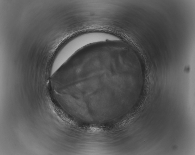 X0000115530592200911271348