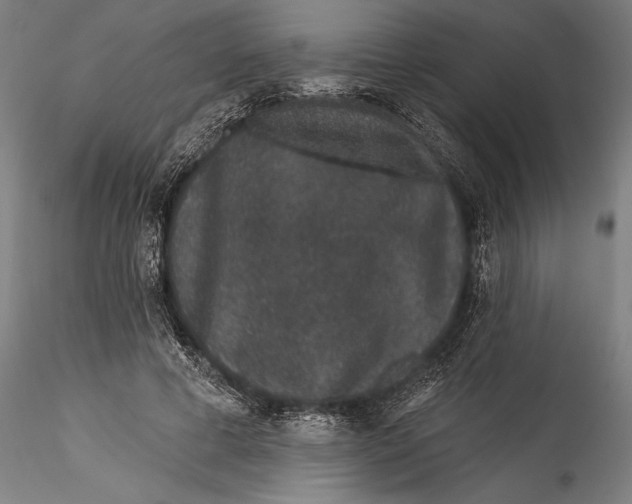 X0000115530593200911271348