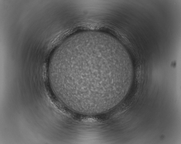 X0000115530594200911271348