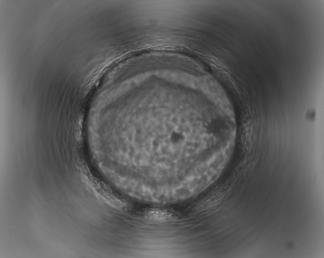 X0000115530596200911271348