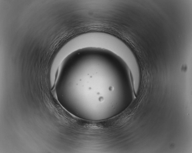 X0000115530597200911271348