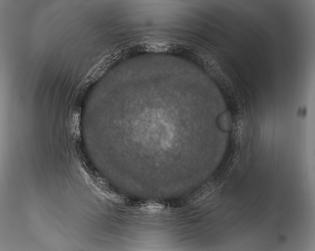 X0000115530598200911271348