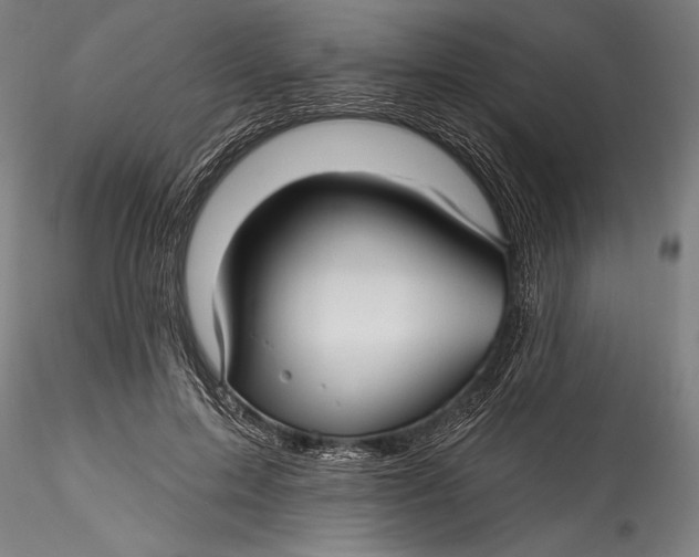 X0000115530599200911271348